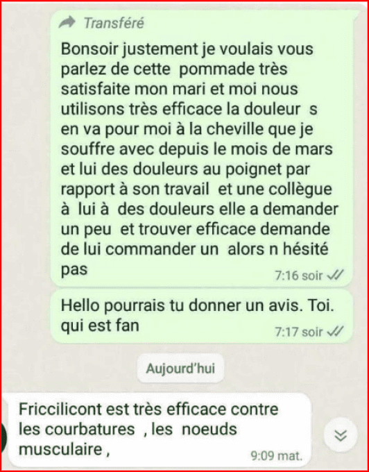 FRICCILICONT POMMADE
